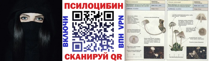где найти наркотики Новошахтинск мега зеркало Галлюциногенные грибы ЛСД