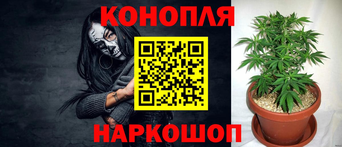 Бошки Шишки MAZAR Новошахтинск